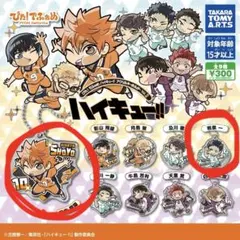 ぴた！でふぉめ ハイキュー!!アクリルキーホルダー 日向 岩泉