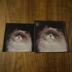 訳あり】カネコアヤノ レコード燦々 重量盤 - メルカリ