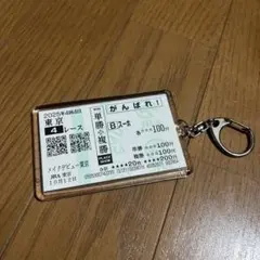 東京4R メイクデビュー東京　スーホ　応援馬券　キーホルダー