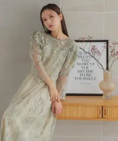 ✅新品タグ付き haremode パーティードレス ボタニカル柄刺繍ドレス Mのサムネイル
