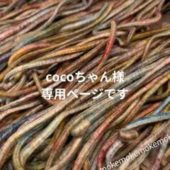 〚 cocoちゃん様専用ページ 〛