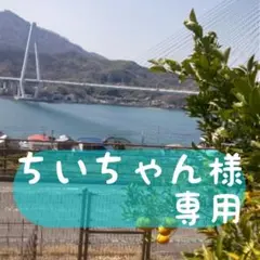 ちいちゃん様専用です