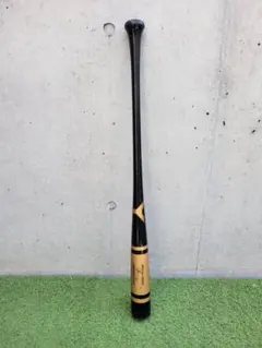 Item thumbnail for item 8d79f410-ede0-4013-8e05-5ed353084e6e