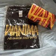 《新品未開封・美品》WANIMA Tシャツ（Ｍサイズ）とタオルセット