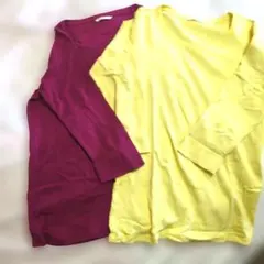 エクストラファインコットン Tシャツ 2枚セット Lサイズ