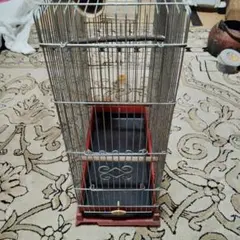 Item thumbnail for item be6ed5d6-4723-4823-9789-7d37dac76d95