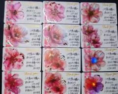 サンキューカードサンクスカード 手書き 20枚