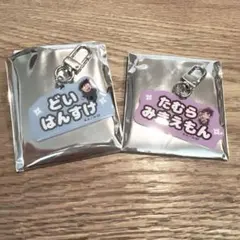 忍たま乱太郎 土井半助 田村三木ヱ門 ねーむシリーズ