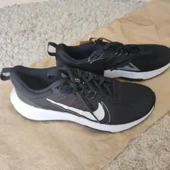 Item thumbnail for item 90c1303e-c641-4ebe-837a-33ebdd934116