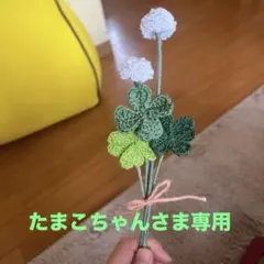 たまこちゃん様 リクエスト 2点 まとめ商品