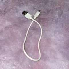 USB 充電 ケーブル タイプA マイクロ タイプB　ホワイト　約26cm