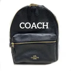 COACH 黒レザー シボ革 バックパック ミニリュック 黒 ブラック