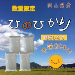 ✨国産無添加カルシウム 贅沢習慣 ✨通販生活 薄焼いわし プレーン 30