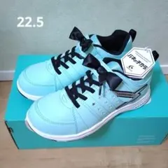 Item thumbnail for item d3b199b8-f02b-42b5-a428-1fe140a302a3