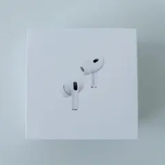 Apple AirPods Pro 2 USB-C 正規品 本体 25年購入