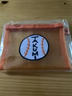 INI メッシュポーチ　尾崎匠海