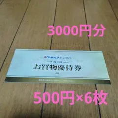ヤマダ電機　ヤマダデンキ　お買物優待券　株主優待　3000円分