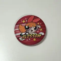 パワーパフガールズ 缶バッジ