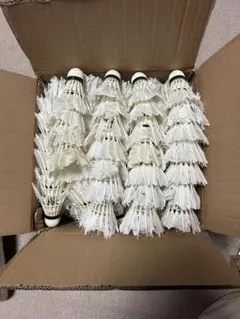 Item thumbnail for item 05ec595a-e6df-4aad-a055-59a5bc977bd4