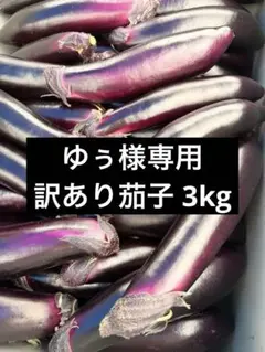 ゆぅ様専用 訳あり茄子 2kg