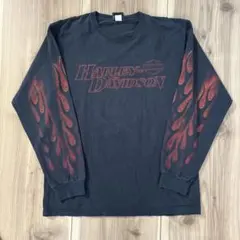 Harley-Davidson 炎　ファイヤパターン　フレイム　　　　　イーグル