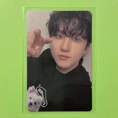 チャンビン トレカ Stray Kids タワレコ特典 ATE