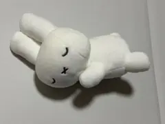 ミッフィー　おやすみ