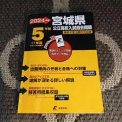 Item thumbnail for item 2cd8a86b-b1b0-4dee-ba9e-a7c5bb3aaada