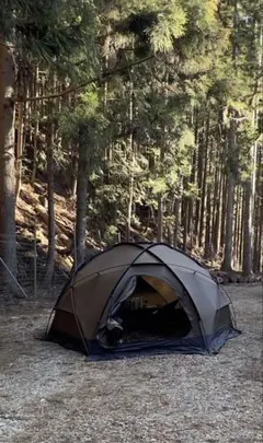 2026年最新】Pomoly dome x6 proの人気アイテム - メルカリ