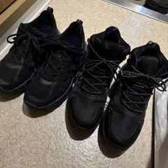 Item thumbnail for item 26e0bac8-d001-41be-9f3e-f08bf6354240