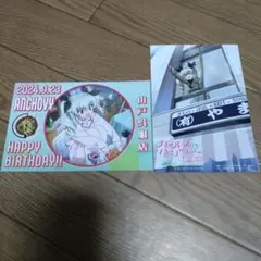 ガールズ&パンツァー アンチョビ ポストカード2枚セット