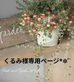 くるみ様専用ページです•*¨*•.¸♬︎