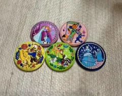 ディズニー刺繍缶バッジ2　5点セット　ズートピア　アナ雪