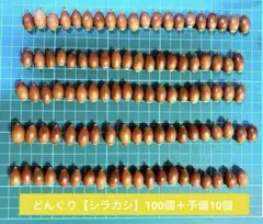 Item thumbnail for item cfb6fedc-2ff5-4616-adef-3c99fc62c76a