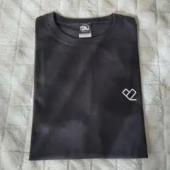 Item thumbnail for item 6f0ec70a-5aba-4f68-bff4-bf3baddfc419