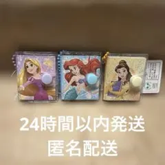 ディズニープリンセス　ミニミニブックキーホルダー　3種セット