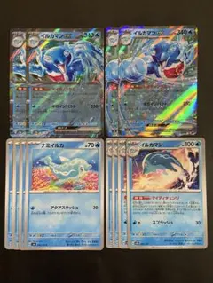 ポケモンカード　イルカマンex ナミイルカ　進化ライン　各4枚