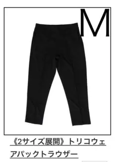 Item thumbnail for item 8a2e0bf8-0a51-412e-8c46-4d3b4e1b72a1