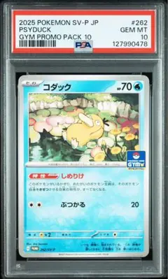【PSA10】コダック　しめりけ　262/SV-P ジムプロモ　Psyduck