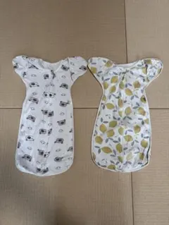 Item thumbnail for item b2c40d29-adc5-4b60-bda2-b2fdf5230016