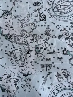 キャスキッドソン　ムーン　コットンダック