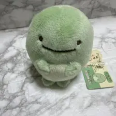 新品】ポケモンセンター ナエトル Grassy Gardening ぬいぐるみ - メルカリ