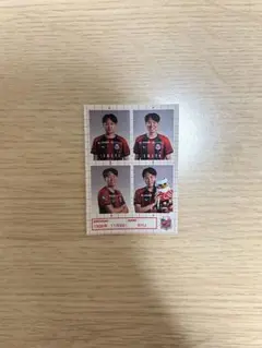 コンサドーレ　証明写真風ステッカー　髙尾瑠