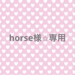 horse 様⭐︎専用