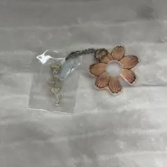 ファンタジースプリングス ティンカーベルのチャーム