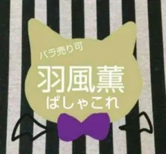 あんスタ 薫 ぱしゃこれ 箔押し 中国 星動 冬日 星燦 3周年 4周年 5周年