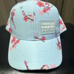 Item thumbnail for item bd8c8715-0c31-4681-8644-14a783ac3977