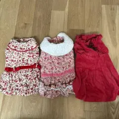 犬用　冬服　3点セット　ルルドール