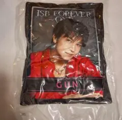 三代目JSB 岩田剛典 クッション - メルカリ