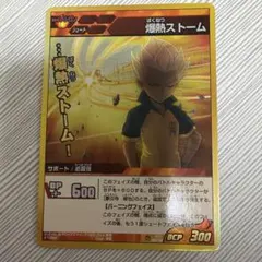 イナズマイレブンGO TCG タイガーストーム - メルカリ